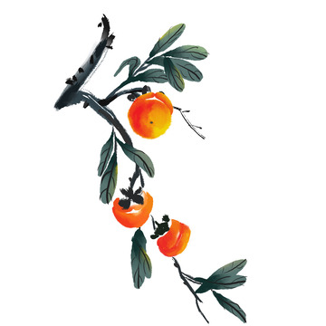 橙色墨绿水墨风柿子树丰收金秋秋分手绘插画