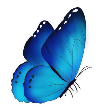 蓝色渐变绚丽动物昆虫蝴蝶手绘