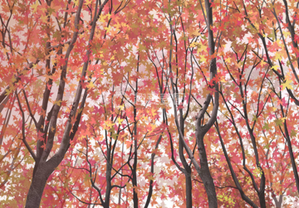 源文件下载【趣麦麦图】秋天的小树林