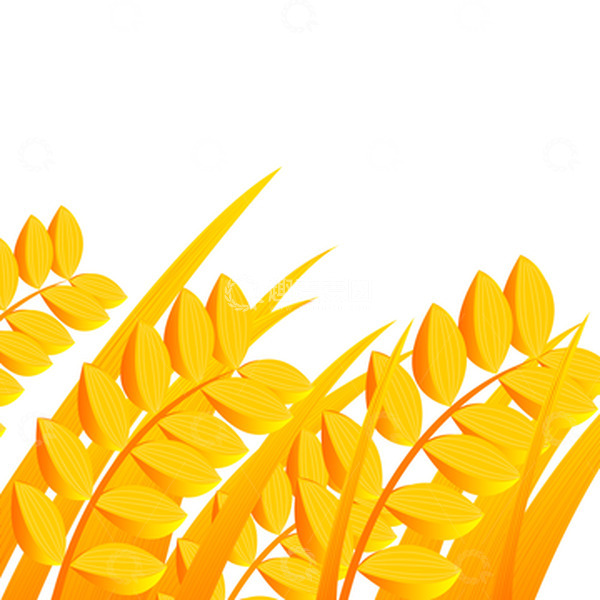 源文件下载【趣麦麦图】二十四节气小满简约稻穗背景秋天丰收素材