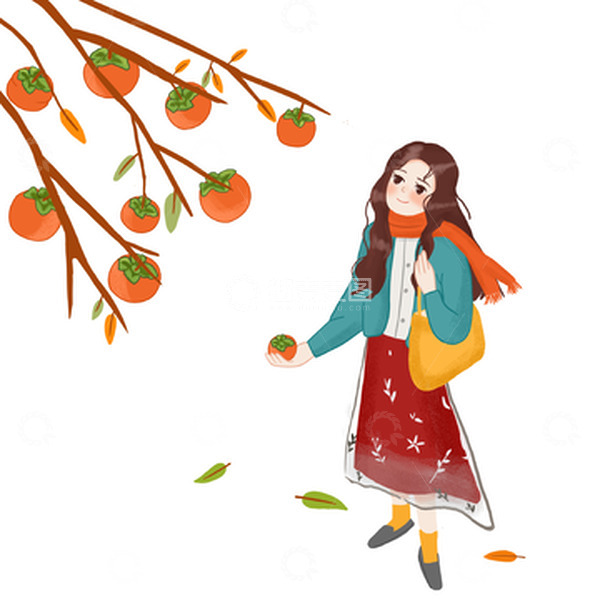 源文件下载【趣麦麦图】手绘金秋柿子树素材插画.