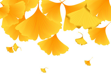 金色矢量秋分秋天枫叶元素