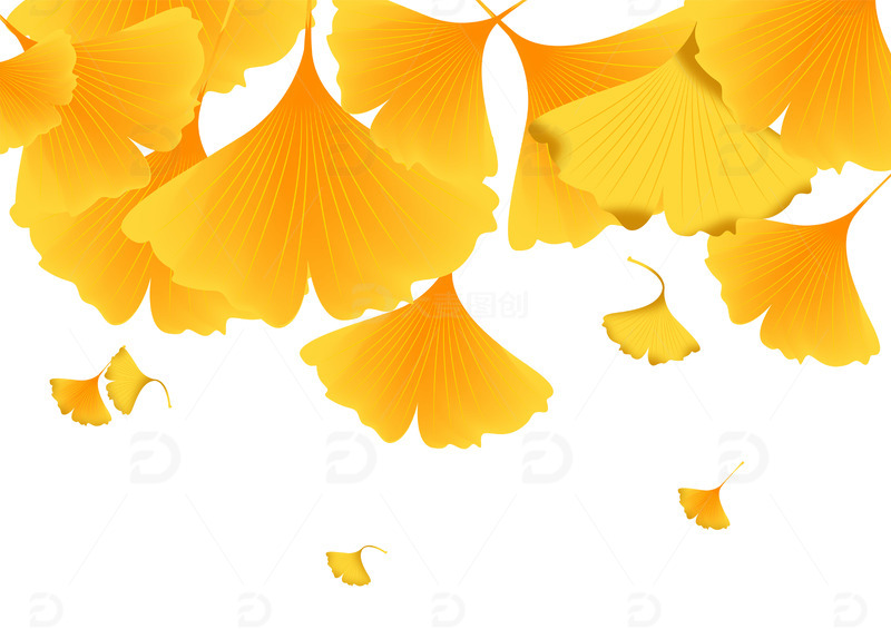 金色矢量秋分秋天枫叶元素