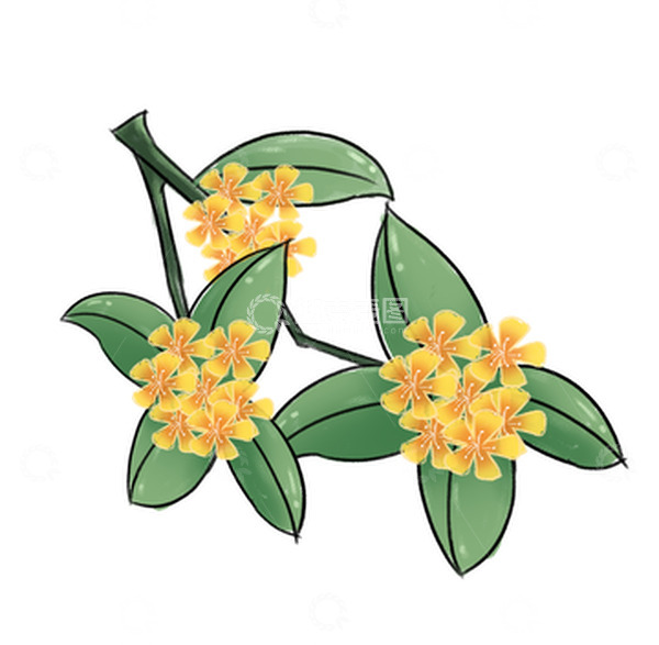 源文件下载【趣麦麦图】小清新九月金秋手绘桂花秋分素材