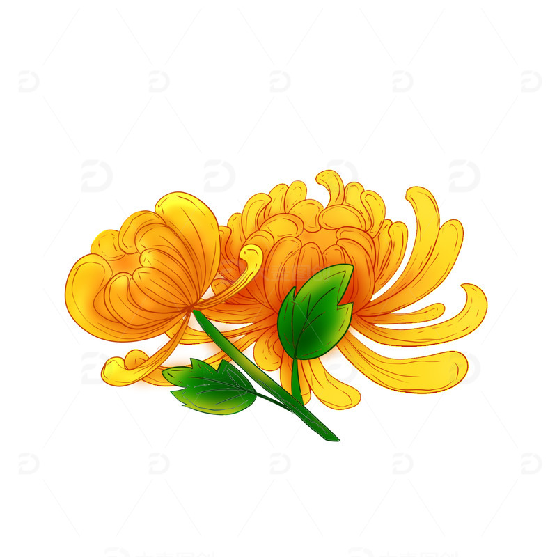 手绘渐变线描风重阳节菊花装饰元素