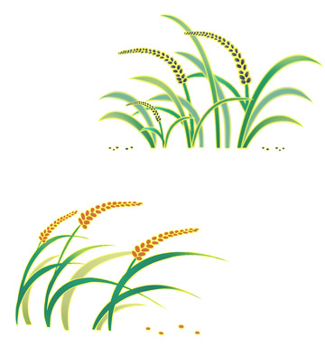 手绘国潮黑米红米植株