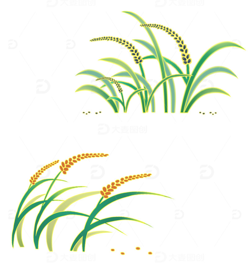 手绘国潮黑米红米植株