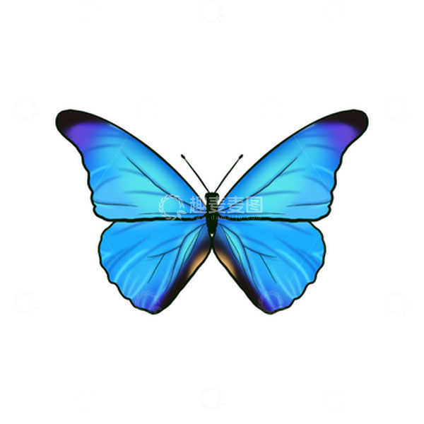 源文件下载【趣麦麦图】蓝色渐变小清新绚丽蝴蝶昆虫手绘