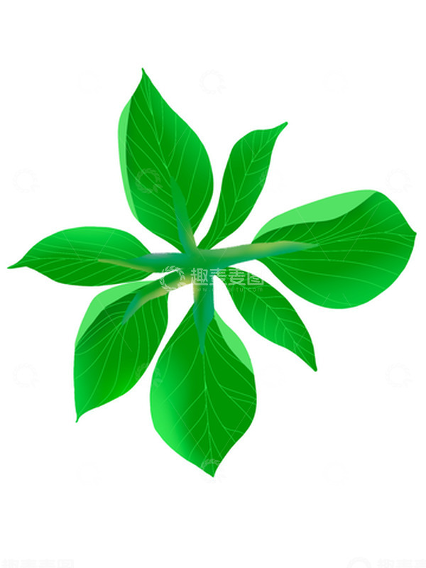 源文件下载【趣麦麦图】绿色小清新手绘写实绿叶枝干元素