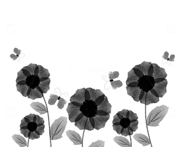 源文件下载【趣麦麦图】黑色水墨黑白花卉植物蝴蝶手绘