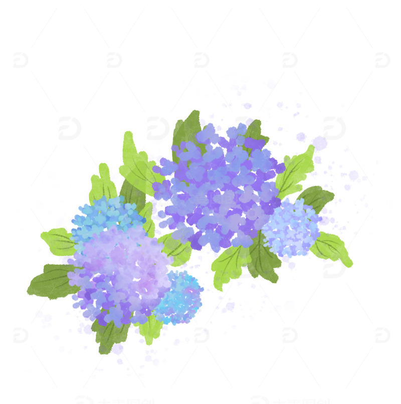 蓝色紫色绣球花植物花草手绘