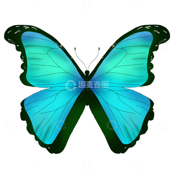 源文件下载【趣麦麦图】蓝绿色绚丽蝴蝶昆虫手绘