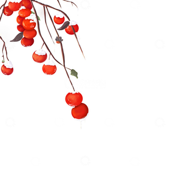 源文件下载【趣麦麦图】手绘霜降柿子
