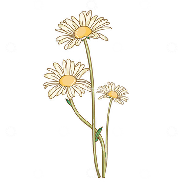 源文件下载【趣麦麦图】淡黄色卡通雏菊手绘图