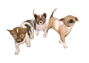 黄白花色水墨手绘小奶狗素材