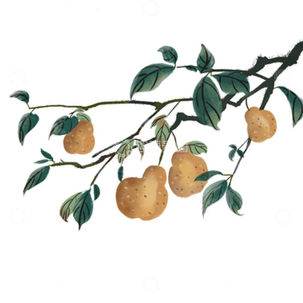 源文件下载【趣麦麦图】棕黄水墨古风冻梨霜降插画