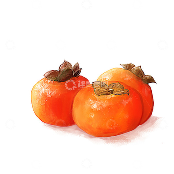源文件下载【趣麦麦图】橙色油画霜降柿子霜降元素