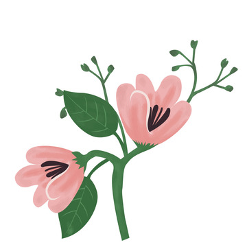 粉色花卉植物花朵素材