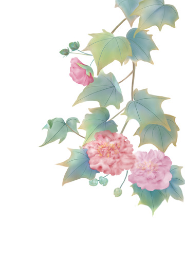 黄绿色国风手绘水彩风格芙蓉花卉素材