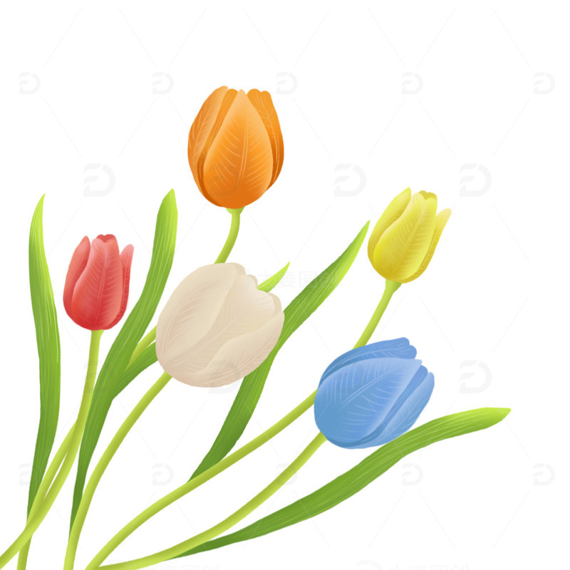 源文件下载【趣麦麦图】手绘郁金香花束渐变色