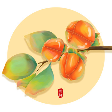 橘色国风柿子植物霜降节气元素