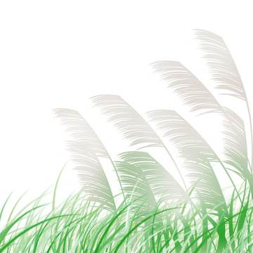 灰绿，霜降，芦苇，草丛，手绘