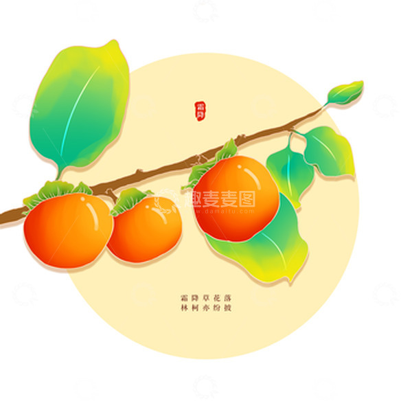 源文件下载【趣麦麦图】橘色柿子水果霜降节气元素