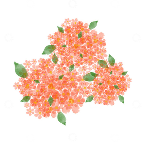 源文件下载【趣麦麦图】粉色水彩植物花卉花草花团锦簇手绘
