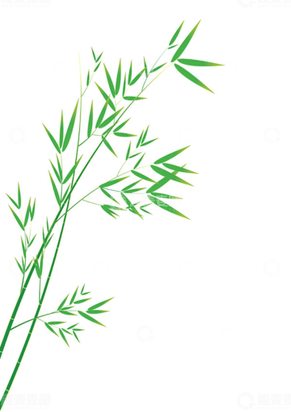 源文件下载【趣麦麦图】新生嫩竹竹叶矢量元素