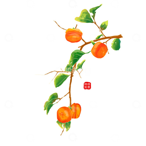 源文件下载【趣麦麦图】简约手绘国风橘色柿子手绘霜降节气元素