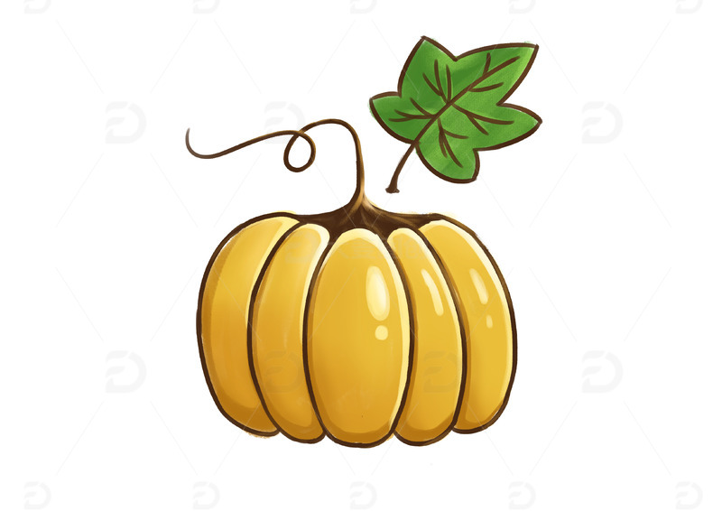 南瓜丰收南瓜金色南瓜枫叶感恩节手绘卡通