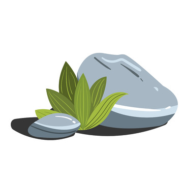 灰色石头鹅软石夹缝中的植物两个石头