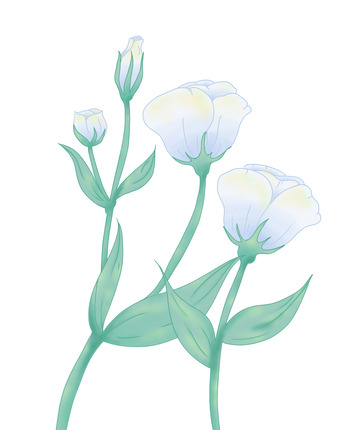 蓝紫色小清新花朵野花手绘