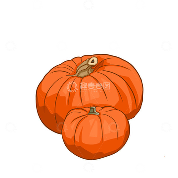 源文件下载【趣麦麦图】橙色手绘南瓜两个大南瓜感恩节