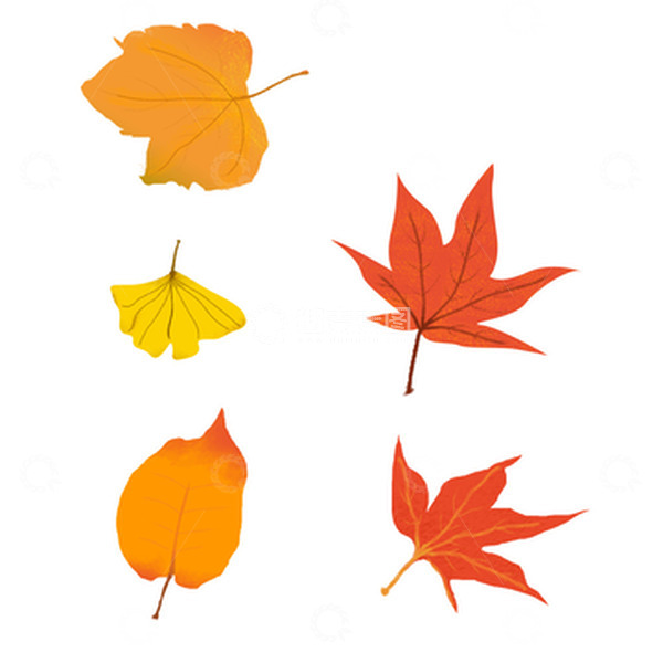 源文件下载【趣麦麦图】-暖色秋天树叶