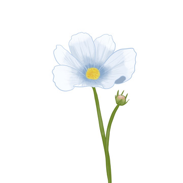 白色蓝色纯洁小花淡雅手绘