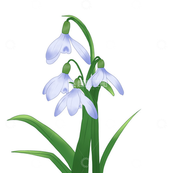 源文件下载【趣麦麦图】淡紫色清新小花花朵手绘