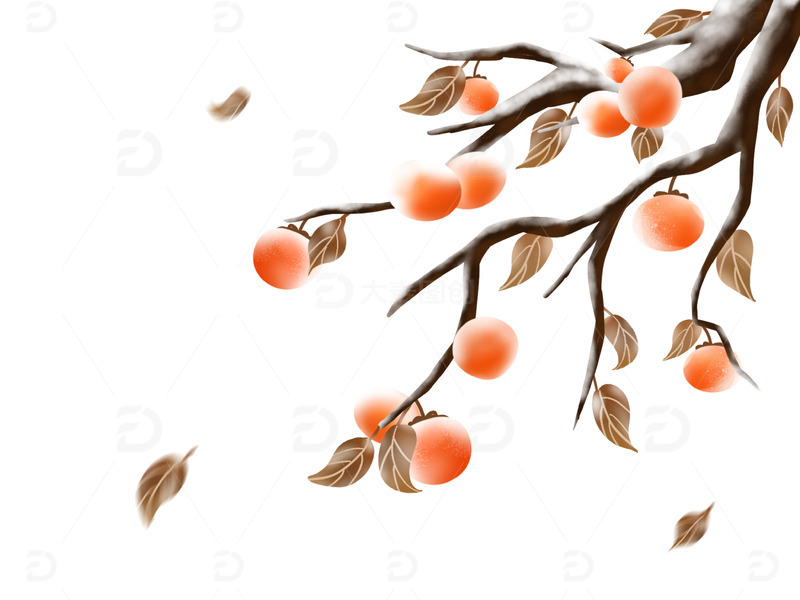 源文件下载【趣麦麦图】手绘霜降柿子树结霜海报顶部装饰