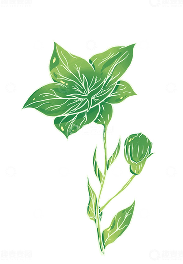 源文件下载【趣麦麦图】-绿色 手绘 插画风 植物 花