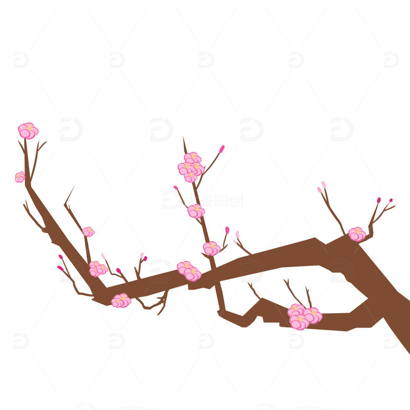 梅花 过年 冬天 腊梅 傲骨 下雪