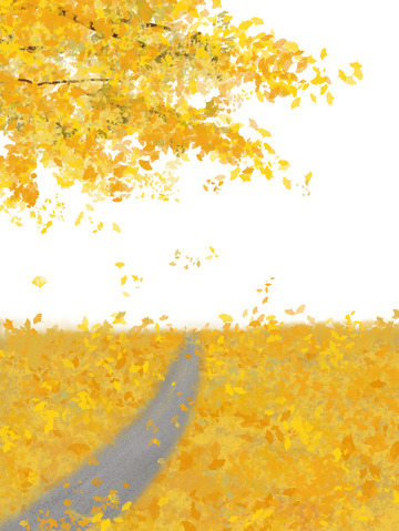 黄色银杏树小径银杏飘落立冬手绘图