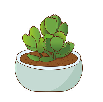 绿色手绘多肉植物清新可爱盆栽办公护眼春天