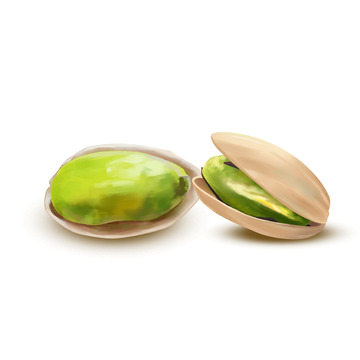 白色坚果开心果手绘图