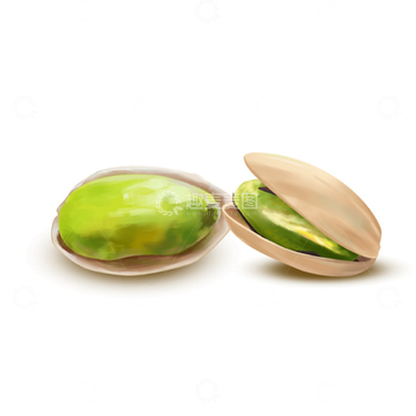 源文件下载【趣麦麦图】白色坚果开心果手绘图