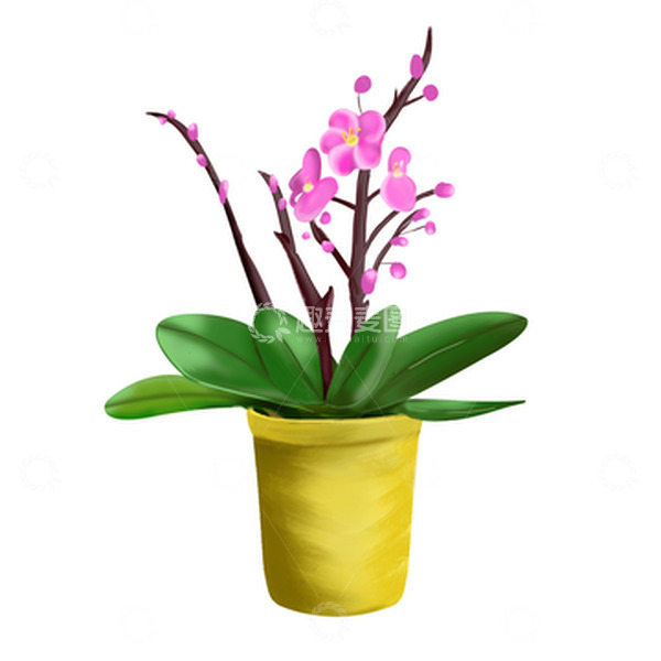 源文件下载【趣麦麦图】手绘盆栽花朵蝴蝶兰