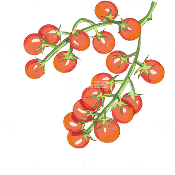 源文件下载【趣麦麦图】红色水彩小番茄手绘图