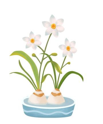 绿色水仙花新年花卉植物手绘