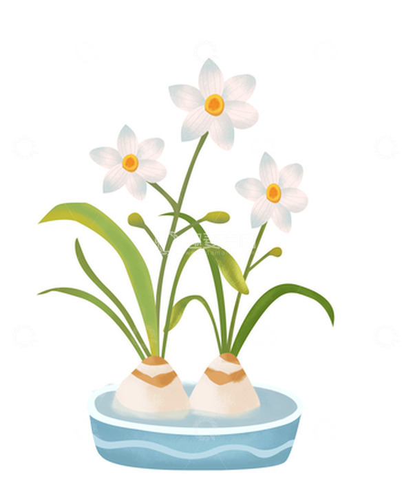 源文件下载【趣麦麦图】绿色水仙花新年花卉植物手绘