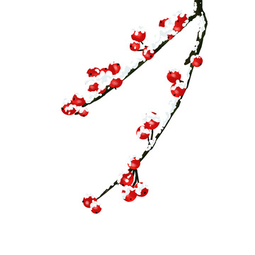 手绘红浆果立冬节气海报顶部装饰元素