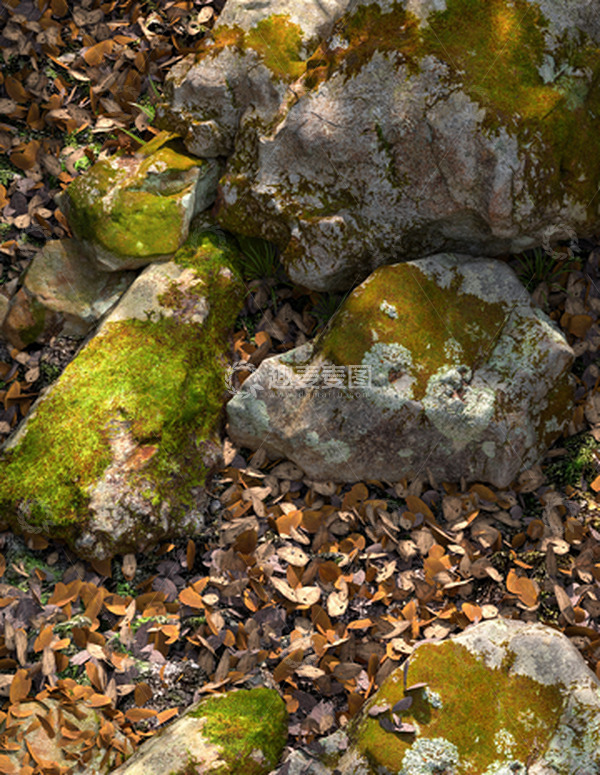 源文件下载【趣麦麦图】C4D制作青苔石头户外写实场景背景